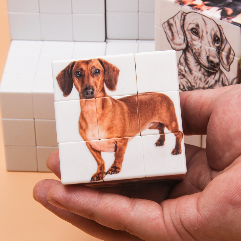 Cubes magiques personnalisés,  - Photography Exhibition avis et prix
